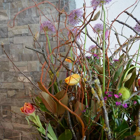 Lägenhetshotell Pradas Brigels Breíl